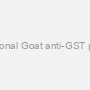Polyclonal Goat anti-GST μ-form